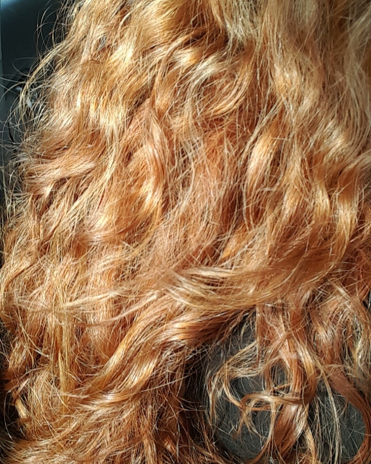 Ginger Kitty cover image