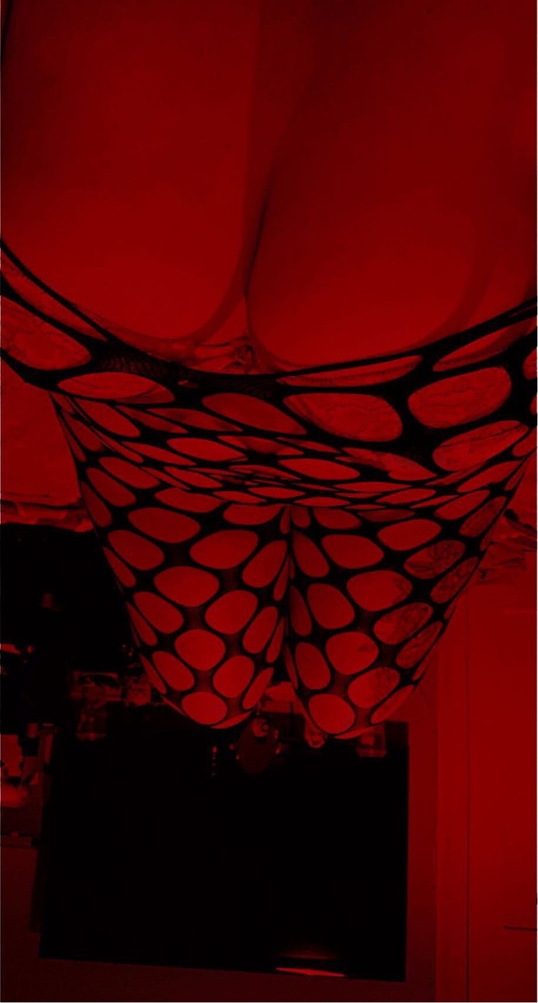 xPawgPixiex cover image