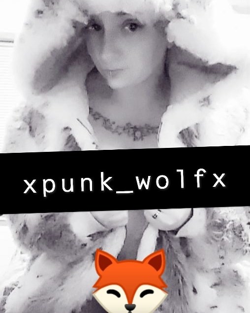 xpunk_wolfx banner image