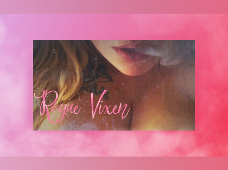 Rogue Vixen cover image