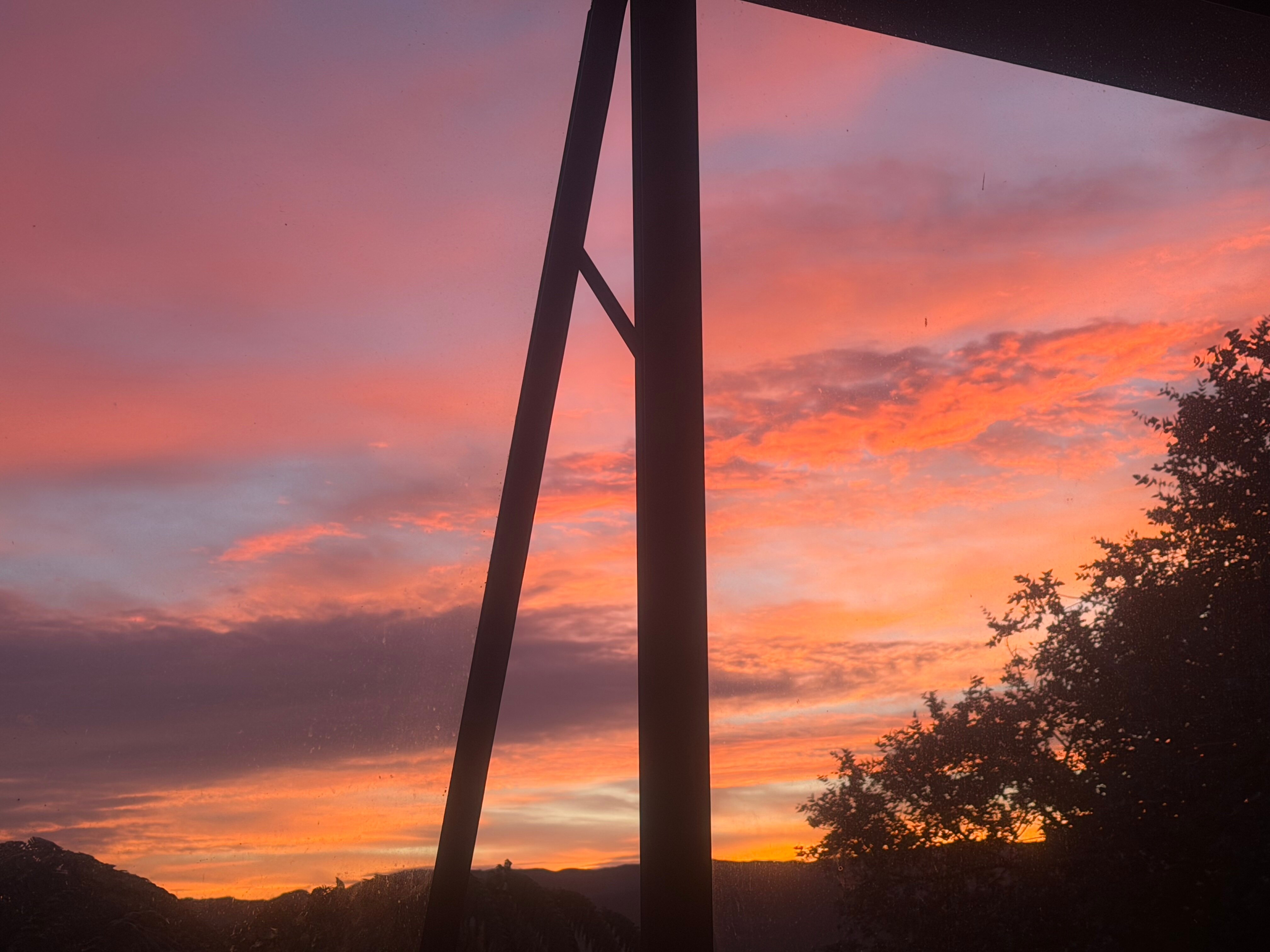 tazi ๐ banner image