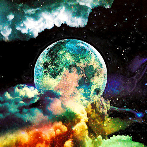 DeeBee cover image