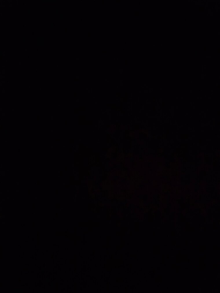 Xxbigtittygfxx cover image