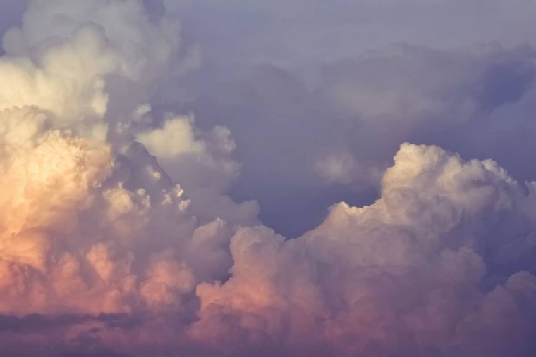 xxdreamsx4 cover image