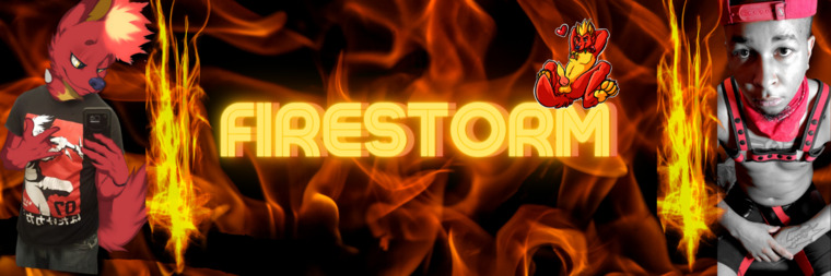 XxFire_StormxX cover image