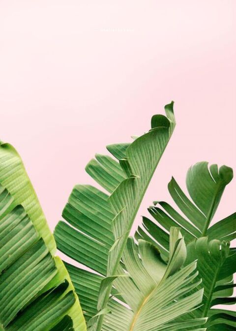 g h o s t cover image
