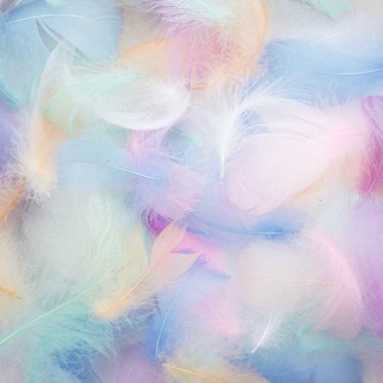 KINKY Babe banner image
