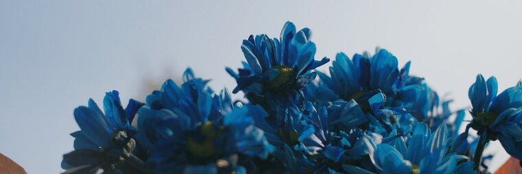 子子 banner image