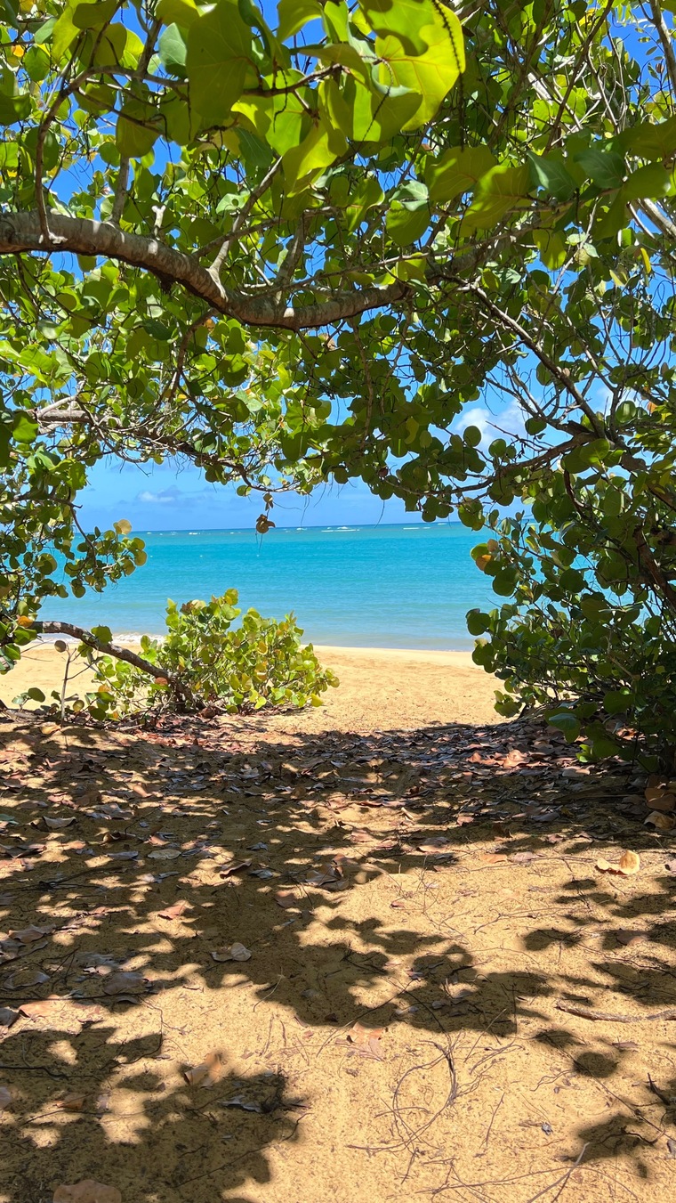 XxTravelingCheeks banner image