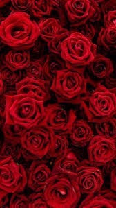 XXX_BABYGIRL banner image