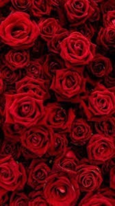 XXX_BABYGIRL cover image