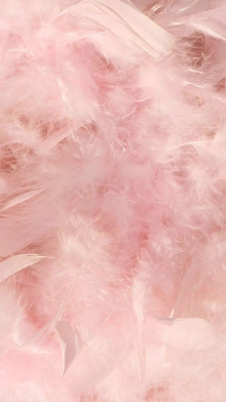 Bombón 🍬 banner image