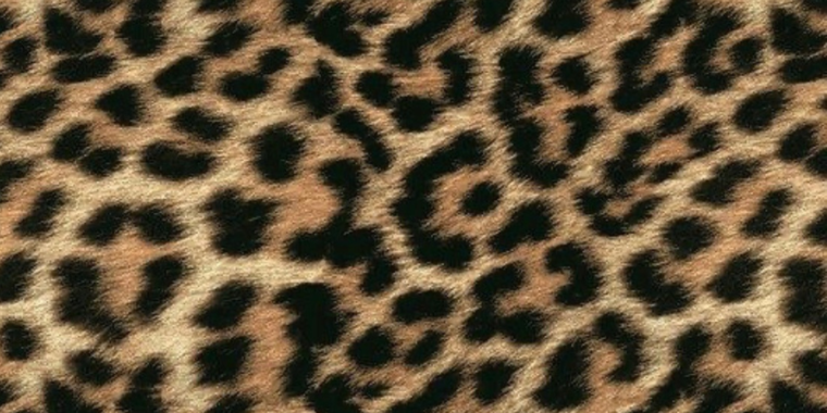 Lola Minx cover image
