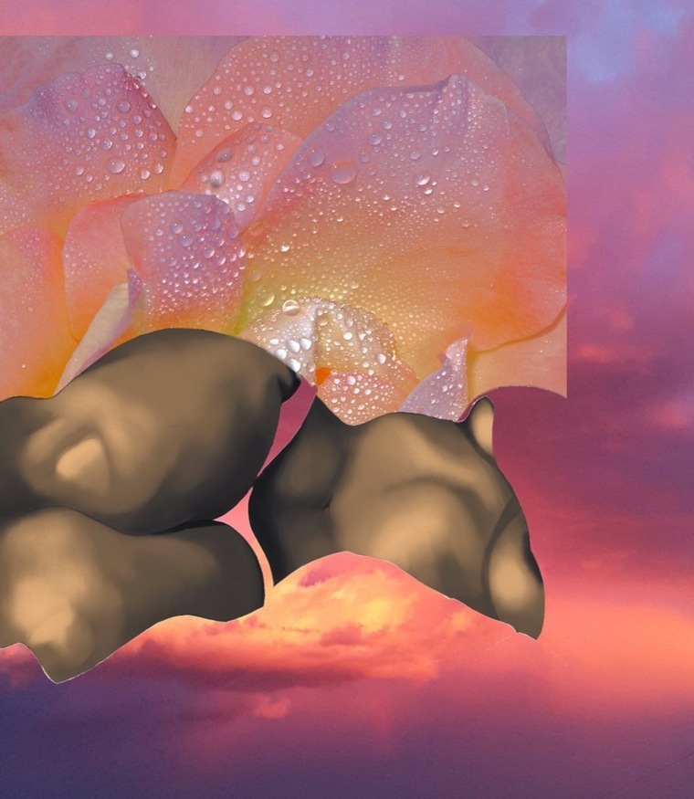7 cover image