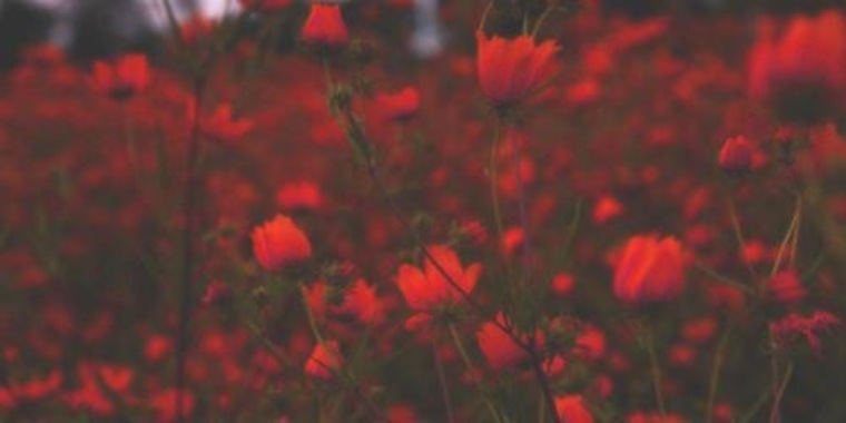 Yellow mystical banner image