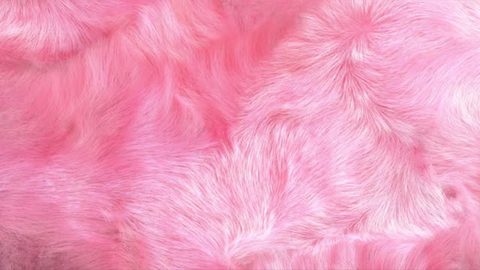 Yesi LH cover image