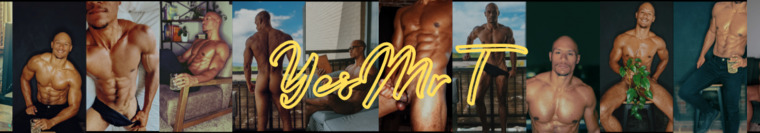 Mr T. banner image