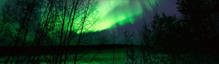 Ylvis88 banner image