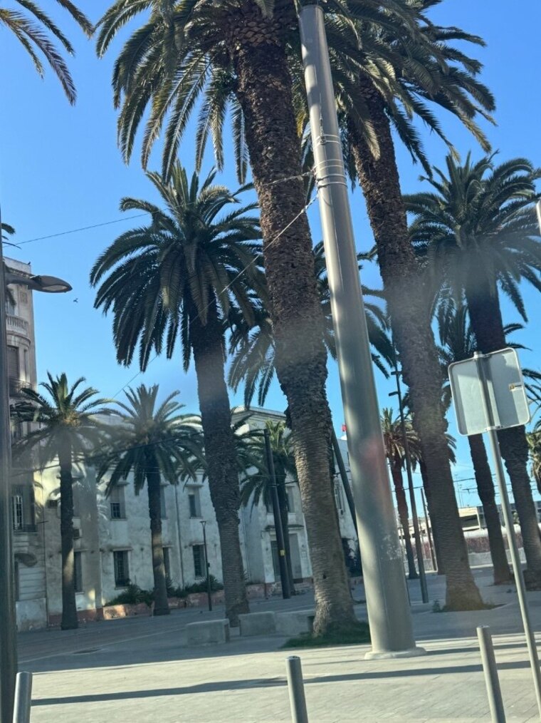 YoFavourite1 banner image