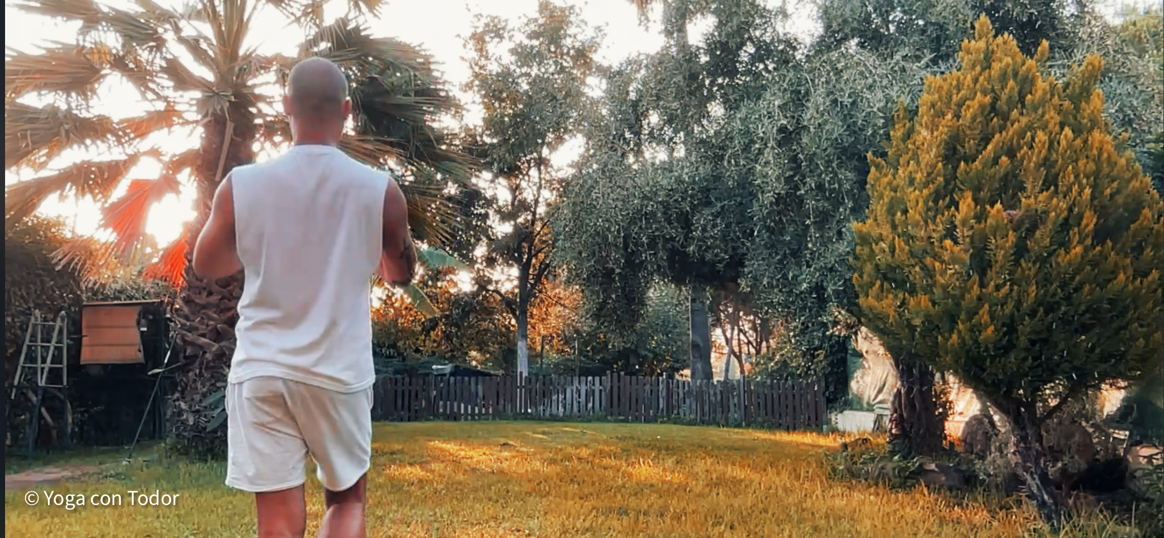 Yoganature banner image
