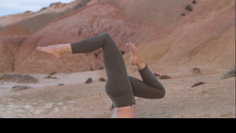 Yogi toes cover image