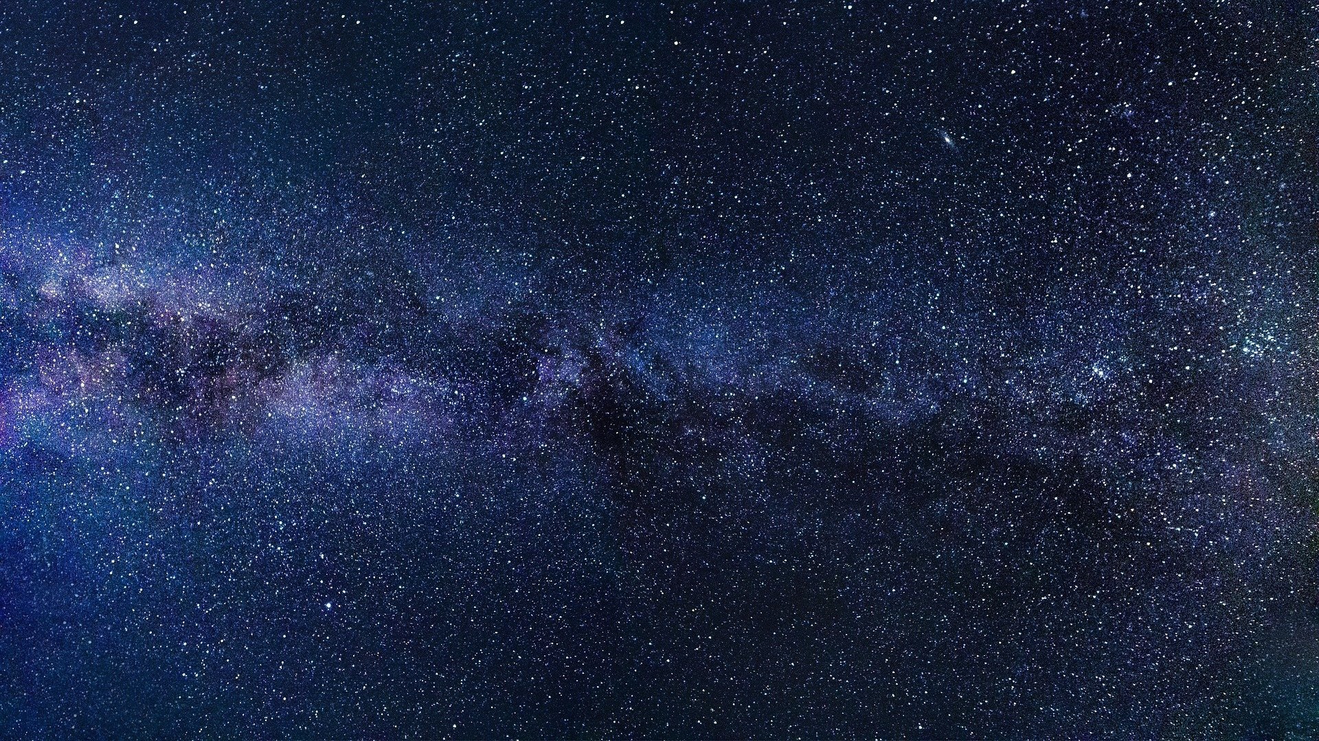 yoohoney banner image