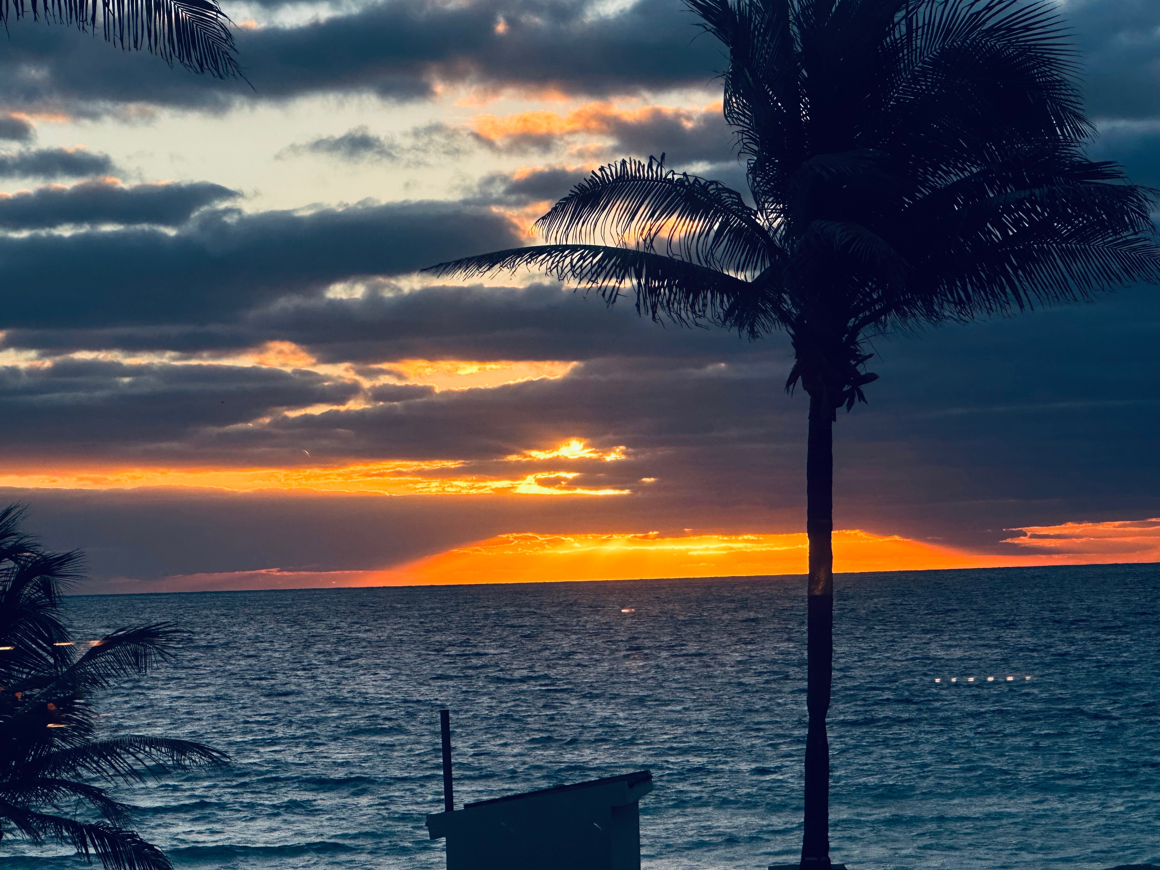 Xavi banner image
