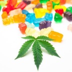 you_toke_fructose avatar