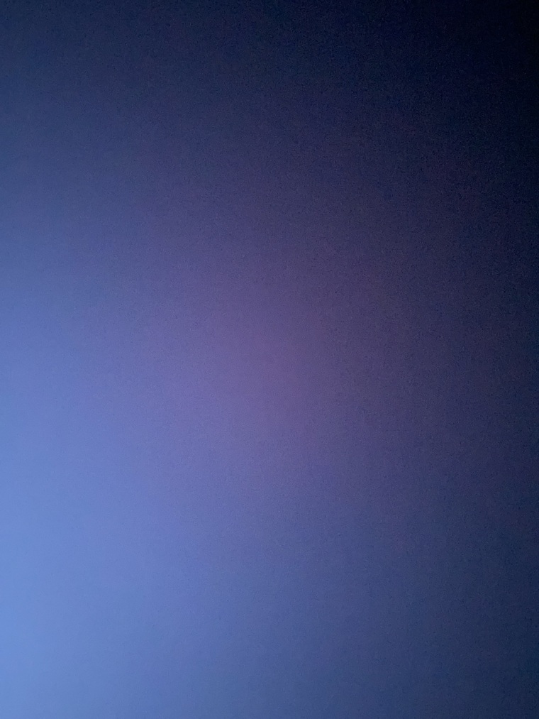 SweetJuicyLeo cover image