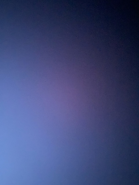 SweetJuicyLeo cover image