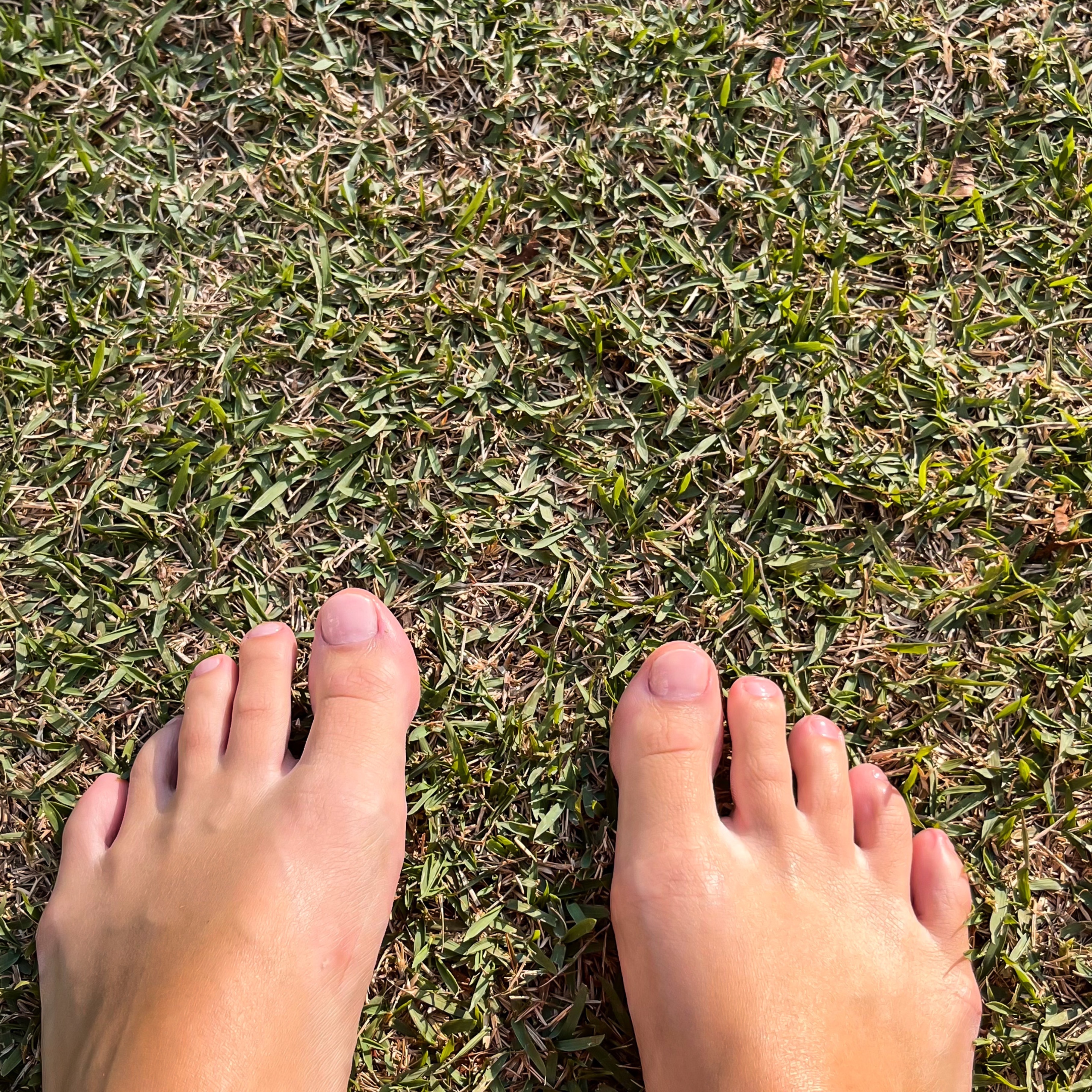 Feets you’ll love to lick banner image