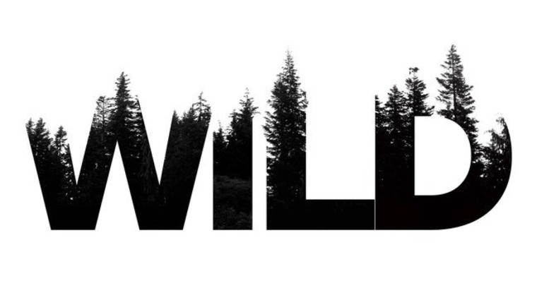 YouMakeMeWild cover image