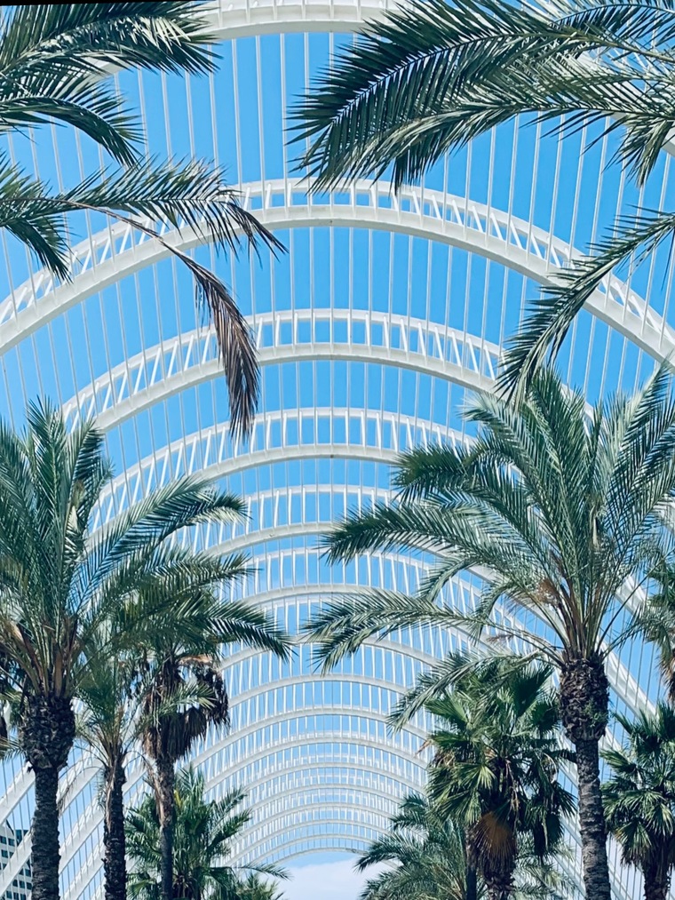 YoungGuapo banner image