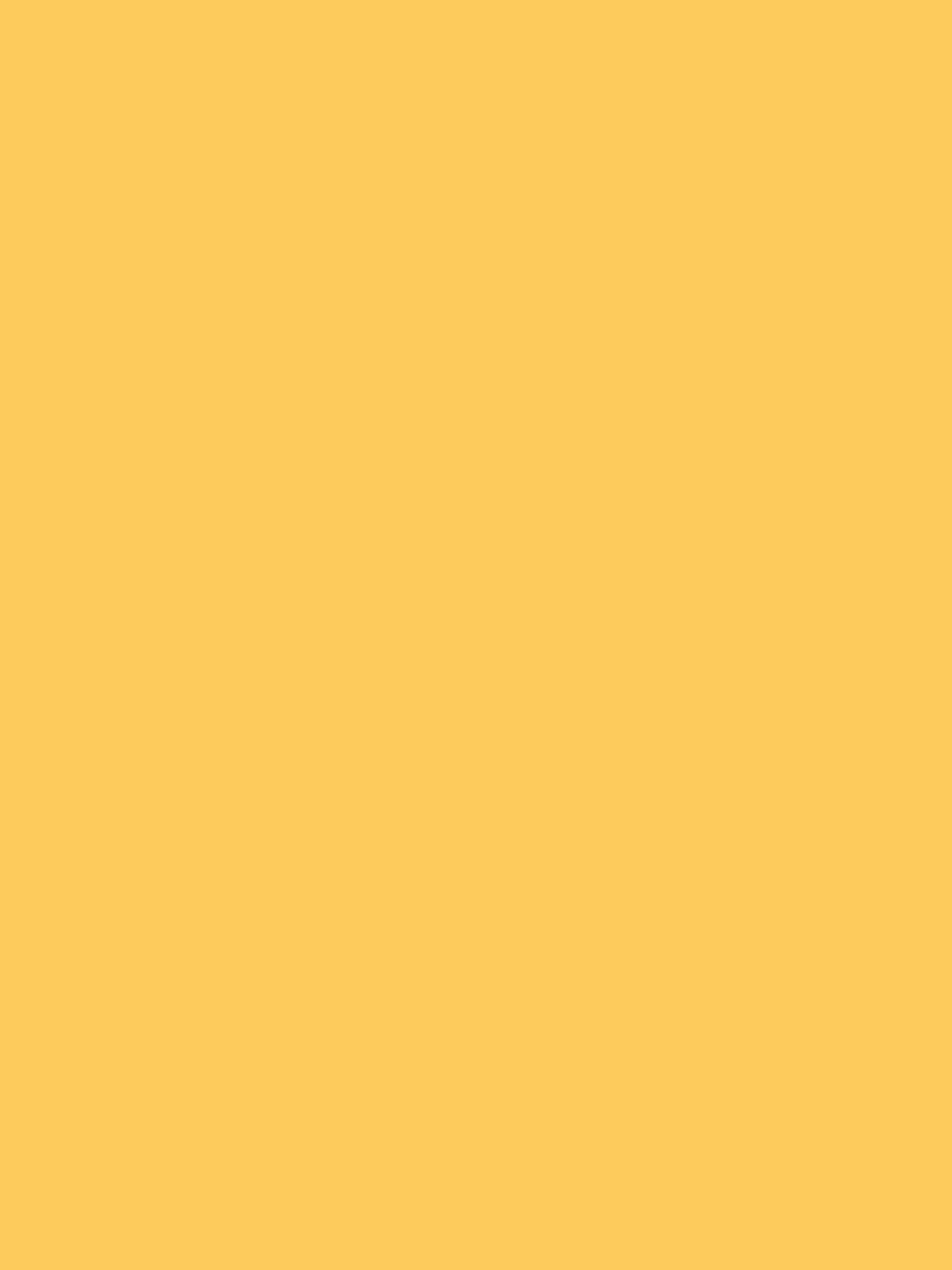 Princess feet banner image