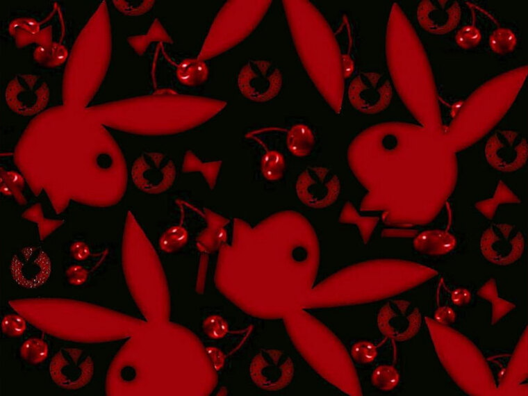 red bunny๐ฐ๐ banner image