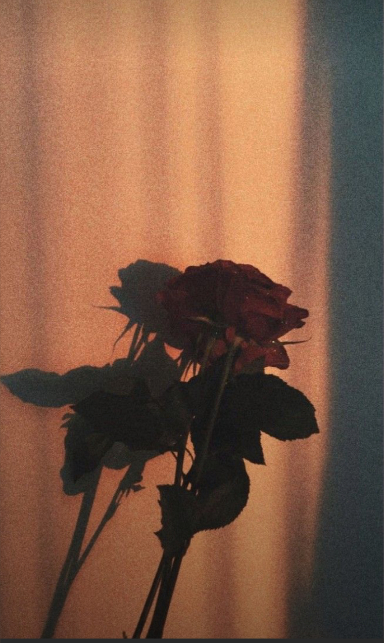 Lover cover image