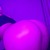 @sweetlara avatar