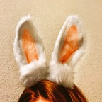 Beloved Bunny avatar