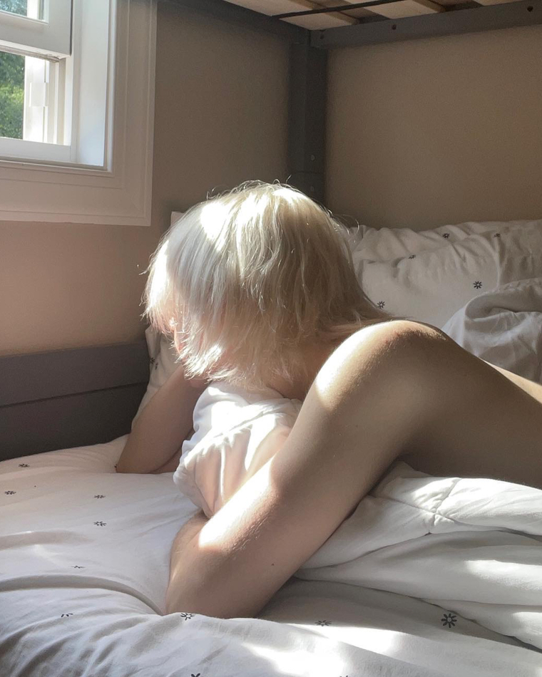 stella cover image