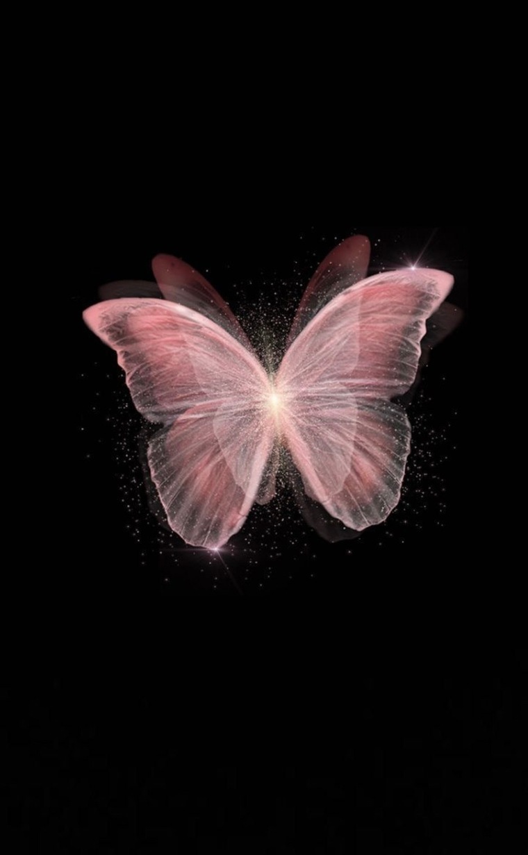 Butterfly banner image