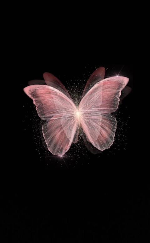 Butterfly cover image