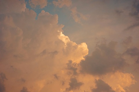 Ginny cover image