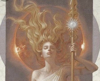 Lily π banner image