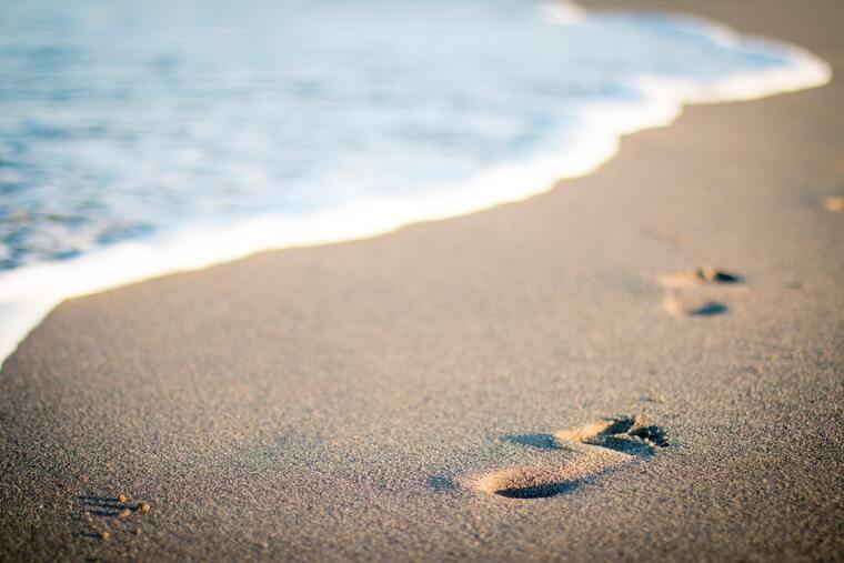 Yourlittletoes cover image