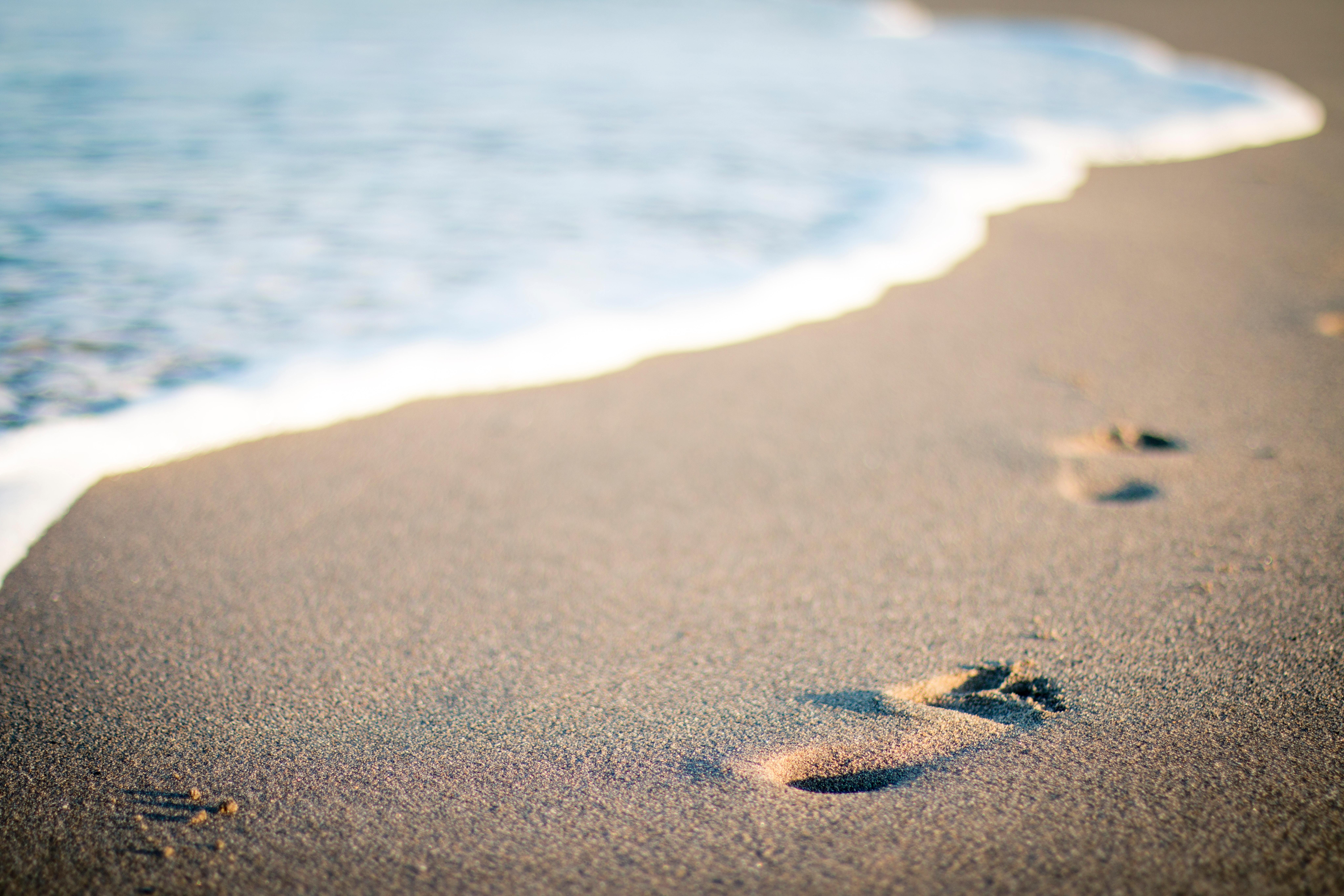 Yourlittletoes banner image