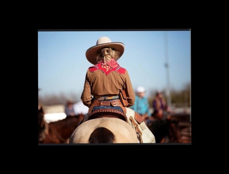 PortHillCowgirl banner image