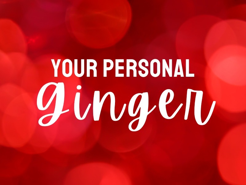your personal ginger banner image