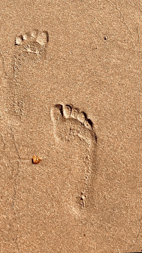 Pocahontas Feet cover image