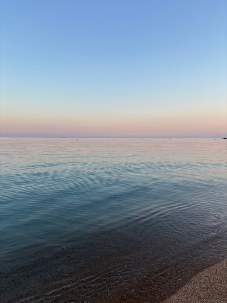 Saraa cover image
