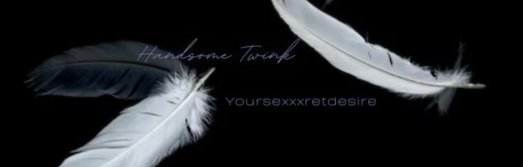 handsome twink cover image